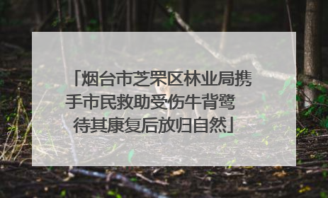 烟台市芝罘区林业局携手市民救助受伤牛背鹭 待其康复后放归自然
