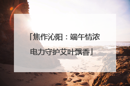 焦作沁阳：端午情浓 电力守护艾叶飘香
