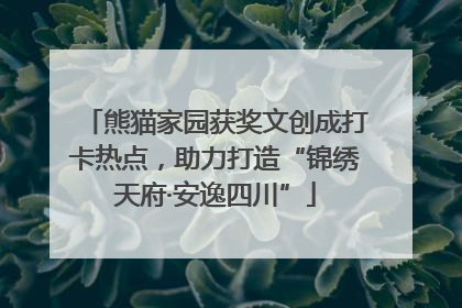 熊猫家园获奖文创成打卡热点，助力打造“锦绣天府·安逸四川”