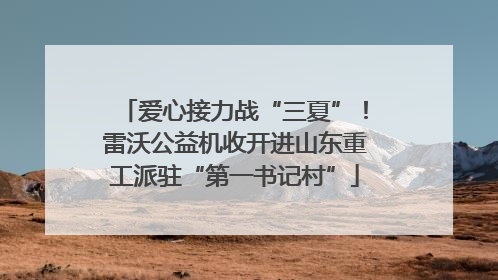 爱心接力战“三夏”！雷沃公益机收开进山东重工派驻“第一书记村”