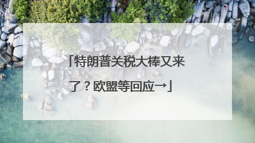 特朗普关税大棒又来了？欧盟等回应→