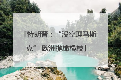特朗普：“没空理马斯克” 欧洲抛橄榄枝