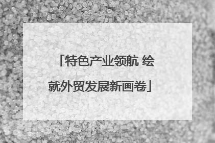 特色产业领航 绘就外贸发展新画卷