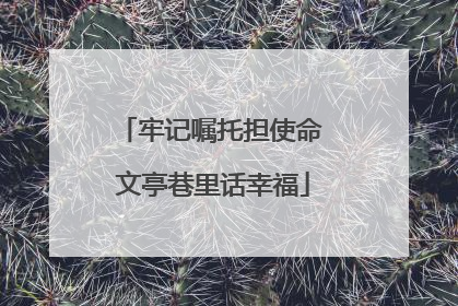 牢记嘱托担使命 文亭巷里话幸福