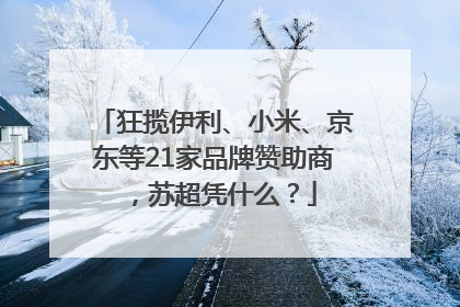 狂揽伊利、小米、京东等21家品牌赞助商，苏超凭什么？