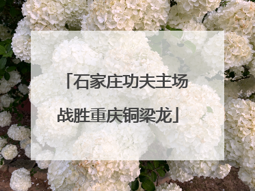 石家庄功夫主场战胜重庆铜梁龙