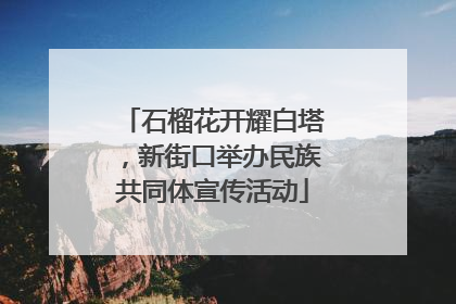 石榴花开耀白塔，新街口举办民族共同体宣传活动