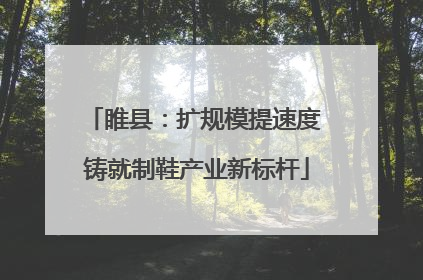 睢县：扩规模提速度 铸就制鞋产业新标杆