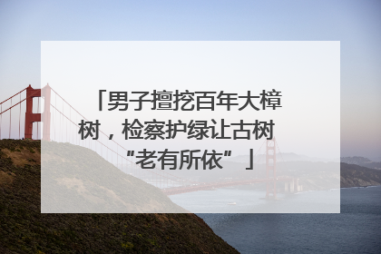 男子擅挖百年大樟树，检察护绿让古树“老有所依”