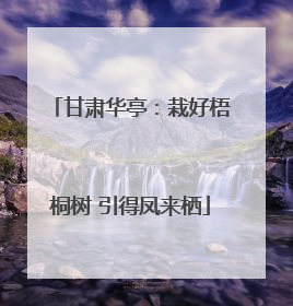 甘肃华亭：栽好梧桐树 引得凤来栖