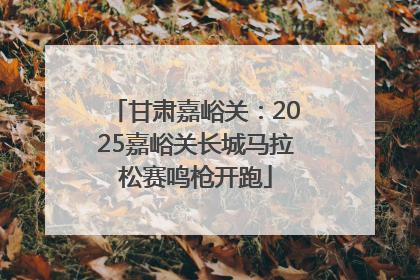 甘肃嘉峪关：2025嘉峪关长城马拉松赛鸣枪开跑