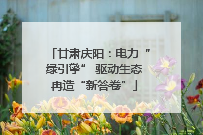 甘肃庆阳：电力“绿引擎” 驱动生态再造“新答卷”