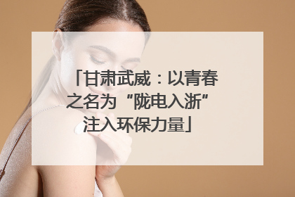 甘肃武威：以青春之名为“陇电入浙”注入环保力量