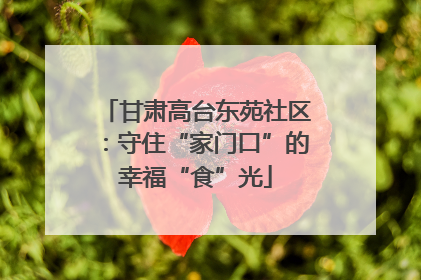 甘肃高台东苑社区：守住“家门口”的幸福“食”光
