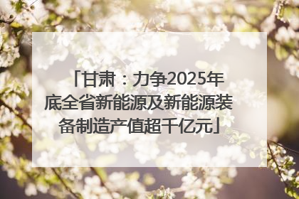 甘肃：力争2025年底全省新能源及新能源装备制造产值超千亿元