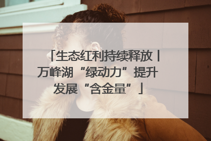 生态红利持续释放丨万峰湖“绿动力”提升发展“含金量”