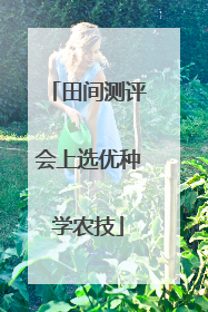 田间测评会上选优种学农技
