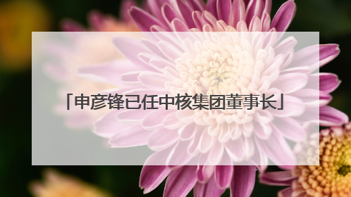 申彦锋已任中核集团董事长