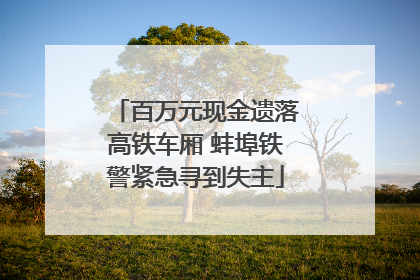 百万元现金遗落高铁车厢 蚌埠铁警紧急寻到失主