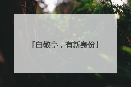 白敬亭，有新身份