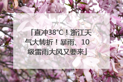 直冲38℃！浙江天气大转折！暴雨、10级雷雨大风又要来