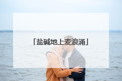 盐碱地上麦浪涌