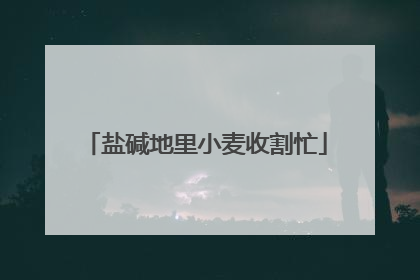 盐碱地里小麦收割忙