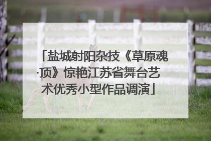 盐城射阳杂技《草原魂·顶》惊艳江苏省舞台艺术优秀小型作品调演