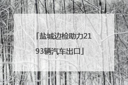 盐城边检助力2193辆汽车出口