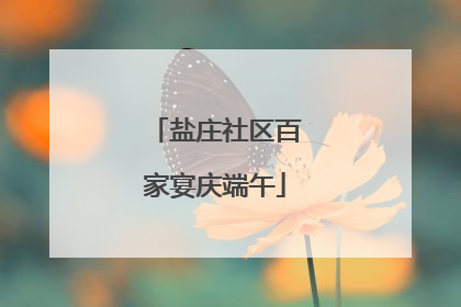 盐庄社区百家宴庆端午