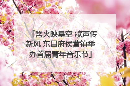 篝火映星空 歌声传新风 东昌府侯营镇举办首届青年音乐节