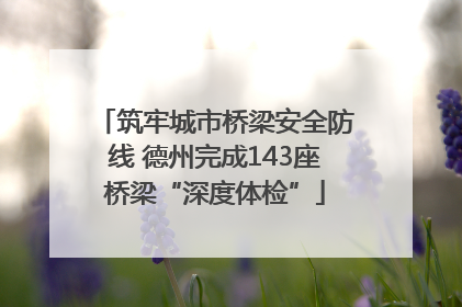 筑牢城市桥梁安全防线 德州完成143座桥梁“深度体检”