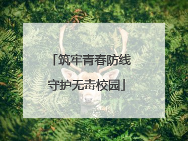 筑牢青春防线 守护无毒校园