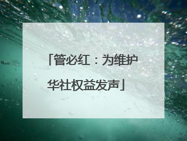 管必红：为维护华社权益发声