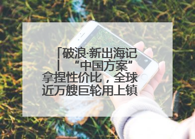 破浪·新出海记丨 “中国方案”拿捏性价比，全球近万艘巨轮用上镇江“节能桨”