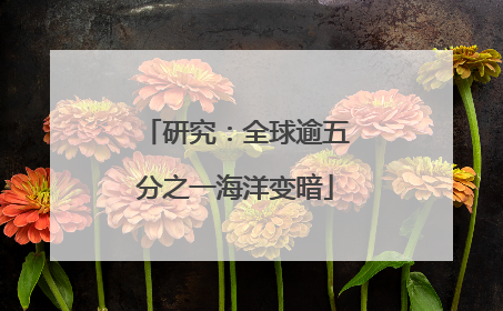 研究：全球逾五分之一海洋变暗