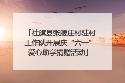 社旗县张腰庄村驻村工作队开展庆“六一”爱心助学捐赠活动