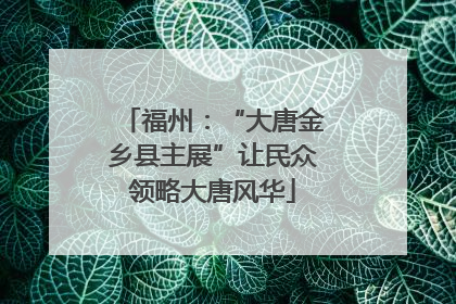 福州：“大唐金乡县主展”让民众领略大唐风华