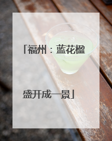 福州：蓝花楹盛开成一景