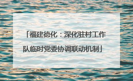 福建德化：深化驻村工作队临时党委协调联动机制
