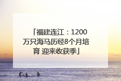 福建连江：1200万只海马历经8个月培育 迎来收获季