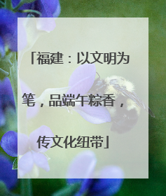 福建：以文明为笔，品端午粽香，传文化纽带