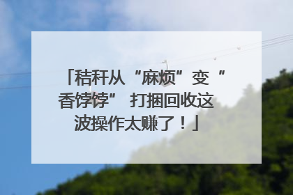 秸秆从“麻烦”变“香饽饽” 打捆回收这波操作太赚了！