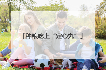 种粮吃上“定心丸”