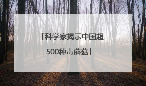 科学家揭示中国超500种毒蘑菇