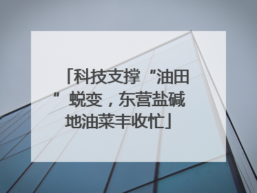 科技支撑“油田”蜕变，东营盐碱地油菜丰收忙