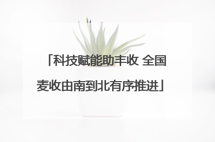 科技赋能助丰收 全国麦收由南到北有序推进