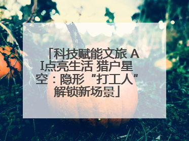 科技赋能文旅 AI点亮生活 猎户星空：隐形“打工人”解锁新场景