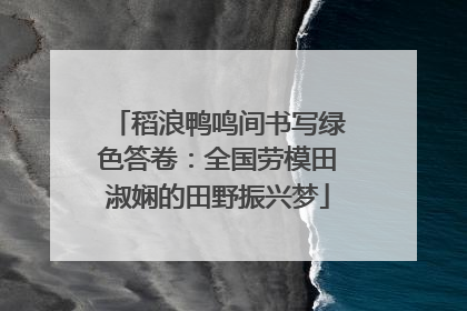 稻浪鸭鸣间书写绿色答卷：全国劳模田淑娴的田野振兴梦