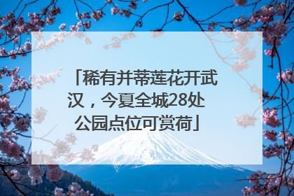 稀有并蒂莲花开武汉，今夏全城28处公园点位可赏荷